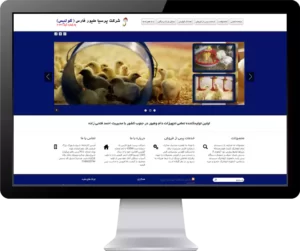 وب سایت تولیدی